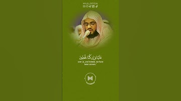 القارئ رعد الكردي .  ماتيسر من سورة يوسف