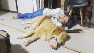 無抵抗で抱き枕にされる愛犬が可愛いｗ