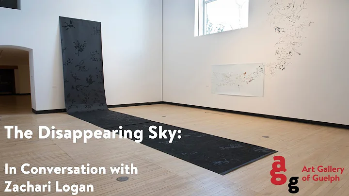 The Disappearing Sky: In Conversation with Zachari...