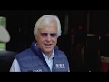 Justify Arrives at Coolmore's Ashford Stud Thumbnail