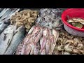 017. Рыбный рынок ФЕТХИЕ. Крабы, Кальмары и креветки.