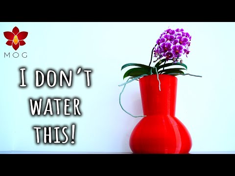 This Pot Waters Your Orchid For You LITERALLY! 3DPing Automatic Watering System