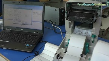 Learn how to change roll in Zebra printer