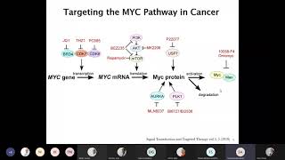 Small Molecule MYC Inhibitors for Cancer Therapy