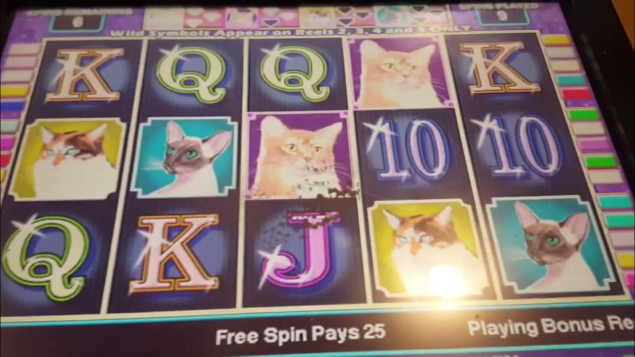KITTY GLITTER SLOT MACHINE YouTube
