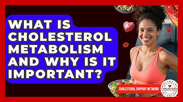 What Is Cholesterol Metabolism And Why Is It Important? - Cholesterol Support Network