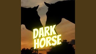 Dark Horse (Speed Up Version)