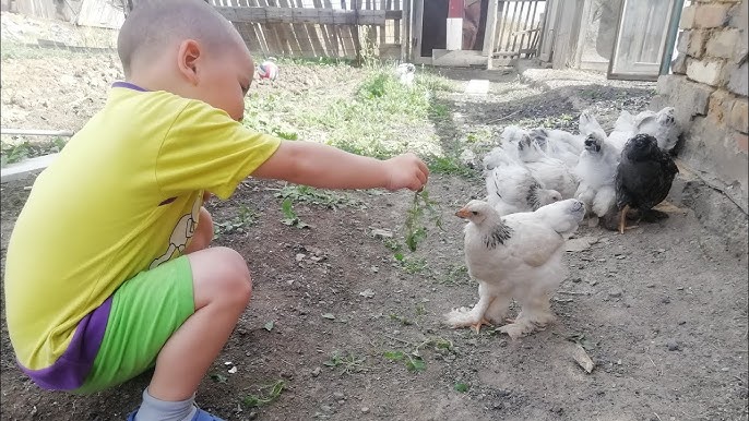 Мәскеудегі жетілген әйелдермен жыныстық қатынас Өте әдемі бөкселер, фотосуреттерді қараңыз