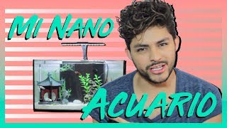 MI NANO ACUARIO 🐠 | JOHN DIOSDADO