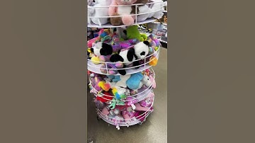 Quick Squishmallow Hunt! #squishmallows #squishtok #squishy #squishmallowshunting #squishmallowfinds