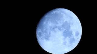 Hayit Murat - Khabibi