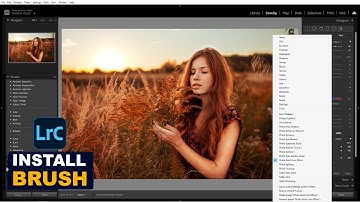 How to Install Adjustment Brush in Lightroom