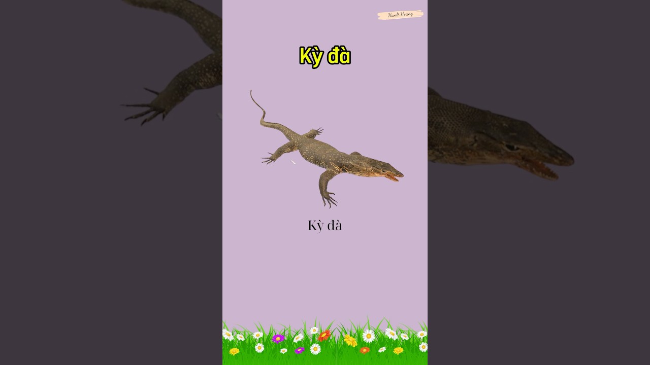 Bài vè: “KỲ ĐÀ” || Bài vè hay cho trẻ mầm non || Bé học nói tiếng Việt || Thơ hay cho trẻ mầm non