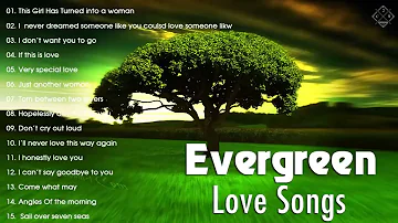 Best Evergreen Love Songs Memories - Nonstop Cruisin Romantic Love Song Collection HD