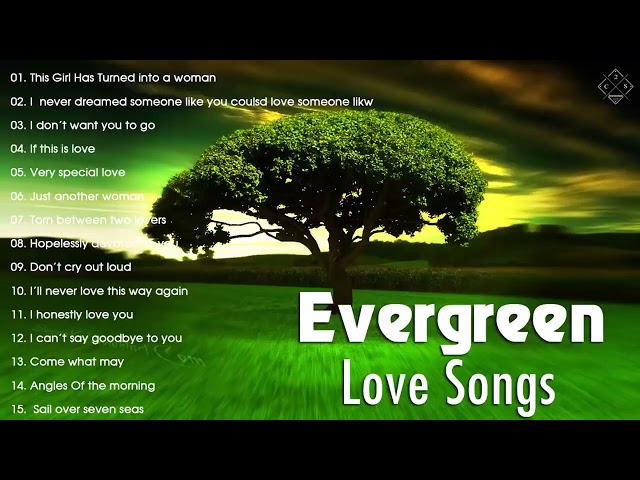 Best Evergreen Love Songs Memories - Nonstop Cruisin Romantic Love Song Collection HD class=