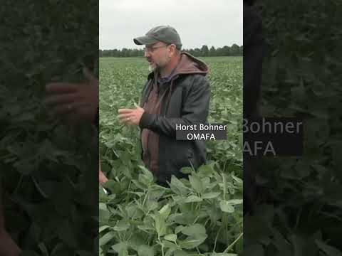 When selecting potassium