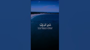 القارئ •  ياسر الدوسري#قرآن #اكسبلور #المصحف #إستمع #لايك