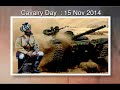 Indian cavalry day 2014