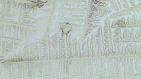 Sugar Crystals under Microscope