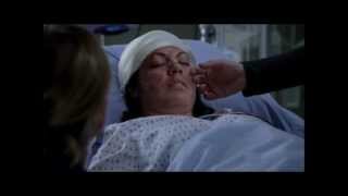 The Story - Grey&#39;s Anatomy - Callie (Sara Ramirez)