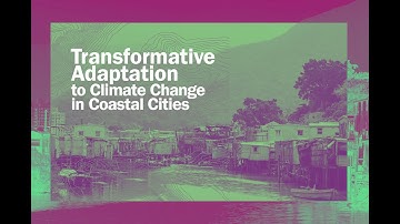 Transformative Adaptation to Climate Change: From Idea to Practice