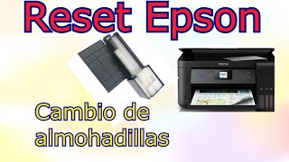 Cambiar almohadillas impresora Epson (L4150 L4160) by JorgeTech98 8,391 views 1 year ago 2 minutes, 58 seconds