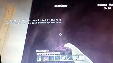 NEW CASTLE MINER Z DOOR GLITCH 1.5.3