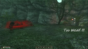 Oblivion Mod - Midas Magic Fun