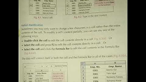 Class-5 Computer Chapter#8 (Editing Cell Contents in Excel 2013)