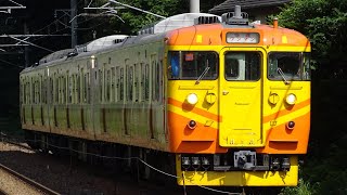 しなの鉄道115系S9編成台湾塗装