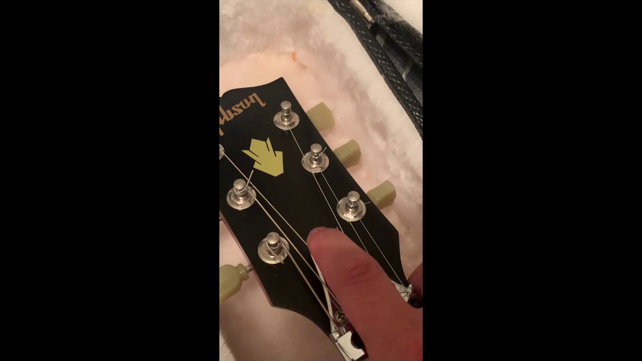 Overview bigsby, stetsbar, floyd rose frx, duesenberg guitar tremolo