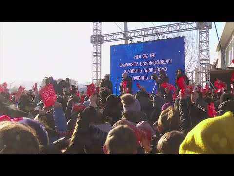 “არა NDI-ისა და IRI-ის კვლევებს” - აქცია შეერთებული შტატების საელჩოსთან