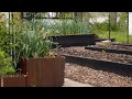 The kitchen garden before it gets loaded with plants