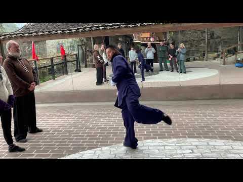 Demonstrating "Kick with left heel" from Chen style Laojia Yilu (74-Form)