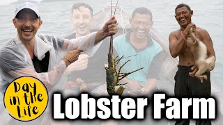 We visited a Floating Lobster Farm in Thailand
