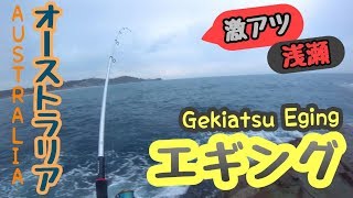 【エギ王K】春のエギングは 浅瀬エリア激アツ！【Spring squid】Eging Avoca shallow water