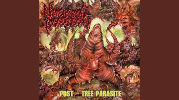 Candidate for a Punch in the Face