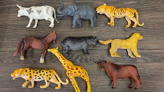 Plastic animals Unboxing order Flipkart | animals collection Cat,Dog, Elephant,Tiger,Horse