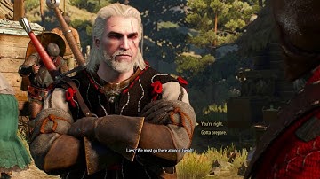 The Witcher 3 : Wild Hunt Complete Edition - Part 27 - Save Anna - PS4 Gameplay