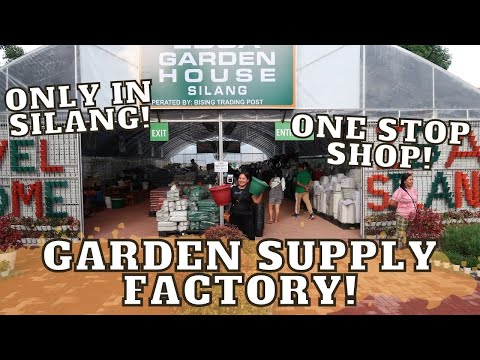 Video: Xeriscape Gardening Para sa Mga Nagsisimula