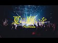 Penthouse - 夏に願いを [Official Live Video]