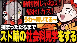 捕獲されただるまでスト鯖の社会科見学をするありさか【VCRGTA】