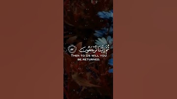 القارئ [عبد الرحمن مسعد] اكتب شيء تؤجر عليه #quran #قرآن #قران_كريم #Quran