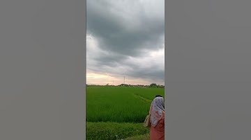Pemandangan yang indah banget saat sore hari di Jombang #jombang #pemandangansawah
