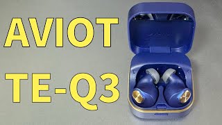 ハーゲンダッツ　ワイヤレスイヤホン　AVIOT　AVIOT TE-Q3 AVIOT TE-Q3｜業界最小クラスのノイズキャンセリング搭載完全