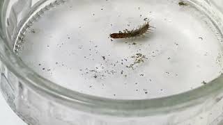 Runoff to Rivers Lesson 3