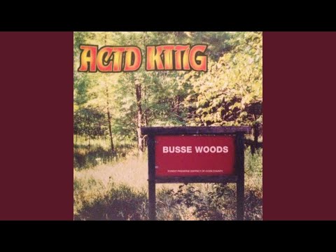 Acid King - Carve The 5