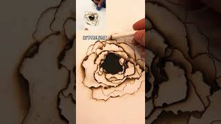 My First Amazing Photography. Will You Watch. #short #photography