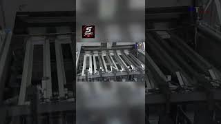 Precision Aoutomation: The Euro Packaging Line