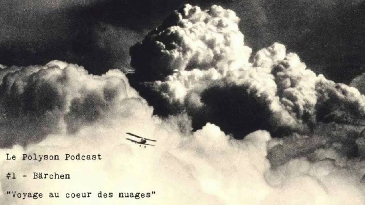 Le Polyson Podcast -  Bärchen